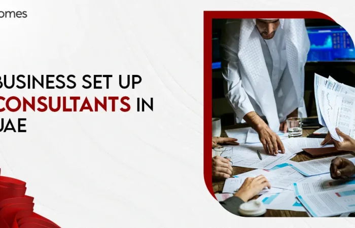 business set up consultants in UAE